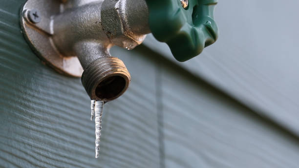 Best Sprinkler Systems  in Gantt, SC